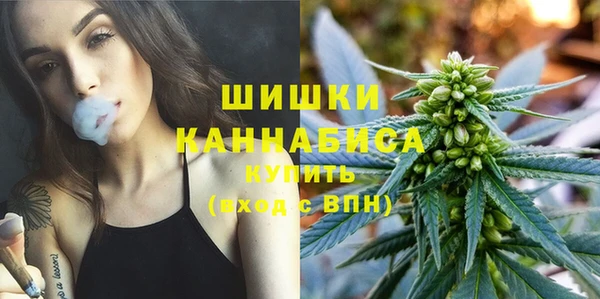 гидра Володарск