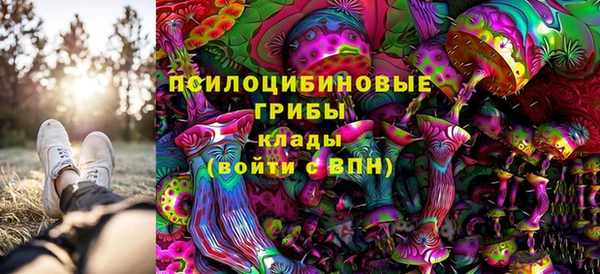 МДПВ Вязьма