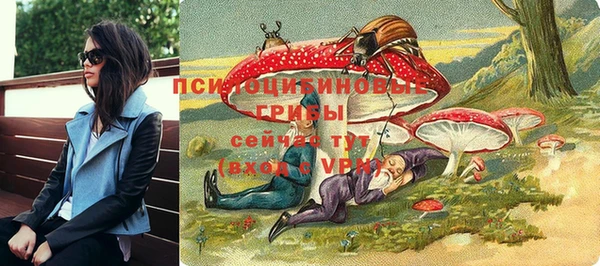 МДПВ Вязьма