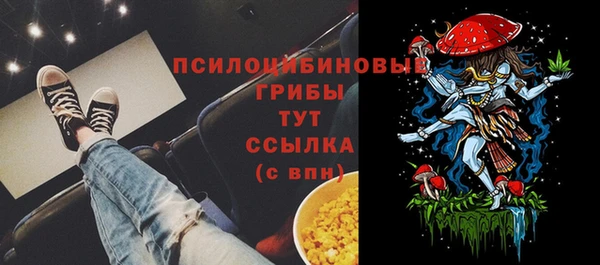 гидра Володарск