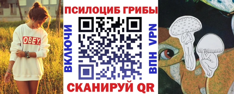 Галлюциногенные грибы Psilocybine cubensis  Керчь 